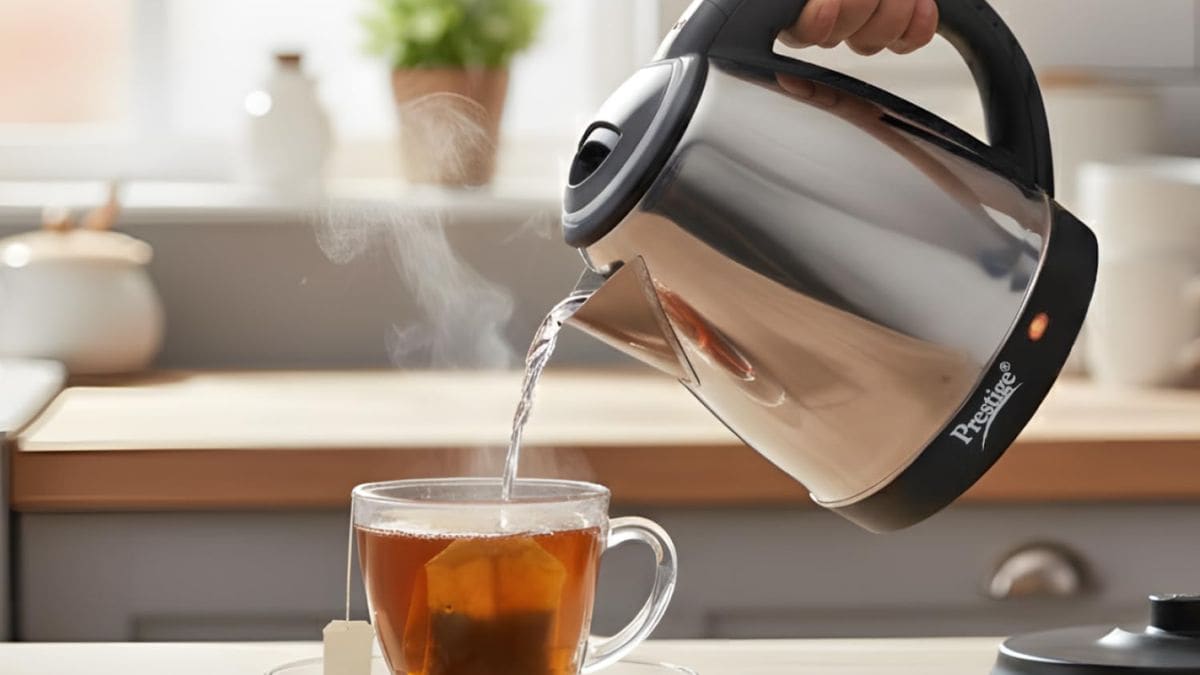 Latest and Breaking News on NDTV