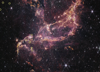 Webb Telescope Confirms Planet-Forming Disks Last Longer in Early Universe