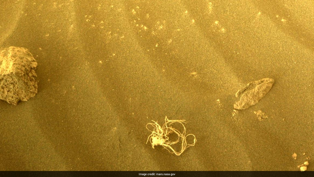 NASA's Perseverance Rover Spots Hair Ball-Like Object On Mars