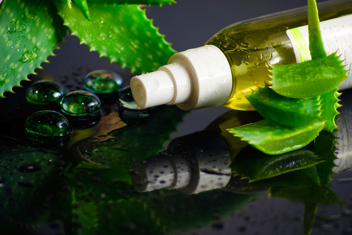 Best Aloe Vera Shampoos HotDeals360