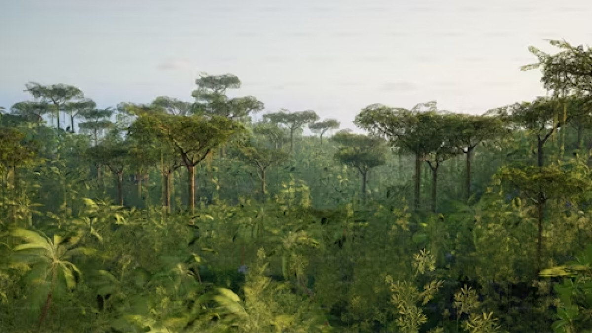 World&rsquo;s Largest Living Organism Pando Might Be The Oldest Living Thing, Reveals New Study