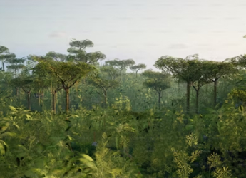 World&rsquo;s Largest Living Organism Pando Might Be The Oldest Living Thing, Reveals New Study