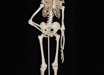 Ancient Tomb Discovery: 2,000-Year-Old Petra Site Unveils 12 Skeletons Beneath Treasury