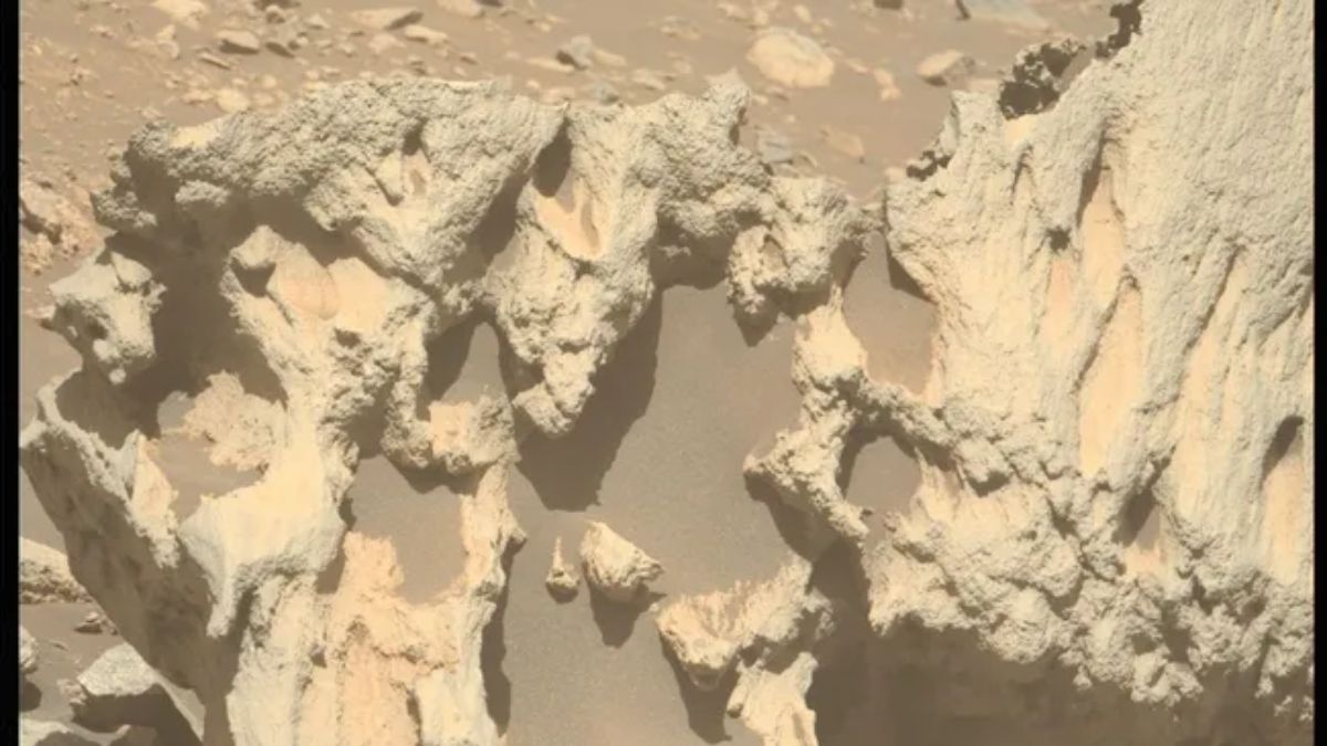 NASA&rsquo;s Perseverance May Have Found Its First Meteorite on Mars