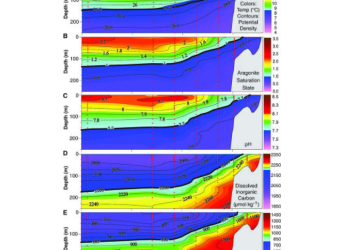 Ocean Acidification Study: Carbon Emissions Driving Deeper Chemical Changes in Oceans