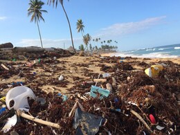 RMIT University Develops Satellite Technology to Identify Plastic Waste on Beaches RMIT University Develops Satellite Technology to Identify Plastic Waste on Beaches