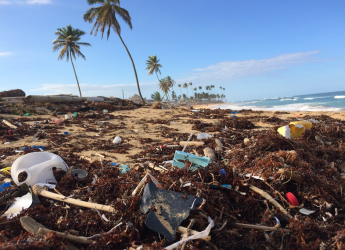 RMIT University Develops Satellite Technology to Identify Plastic Waste on Beaches