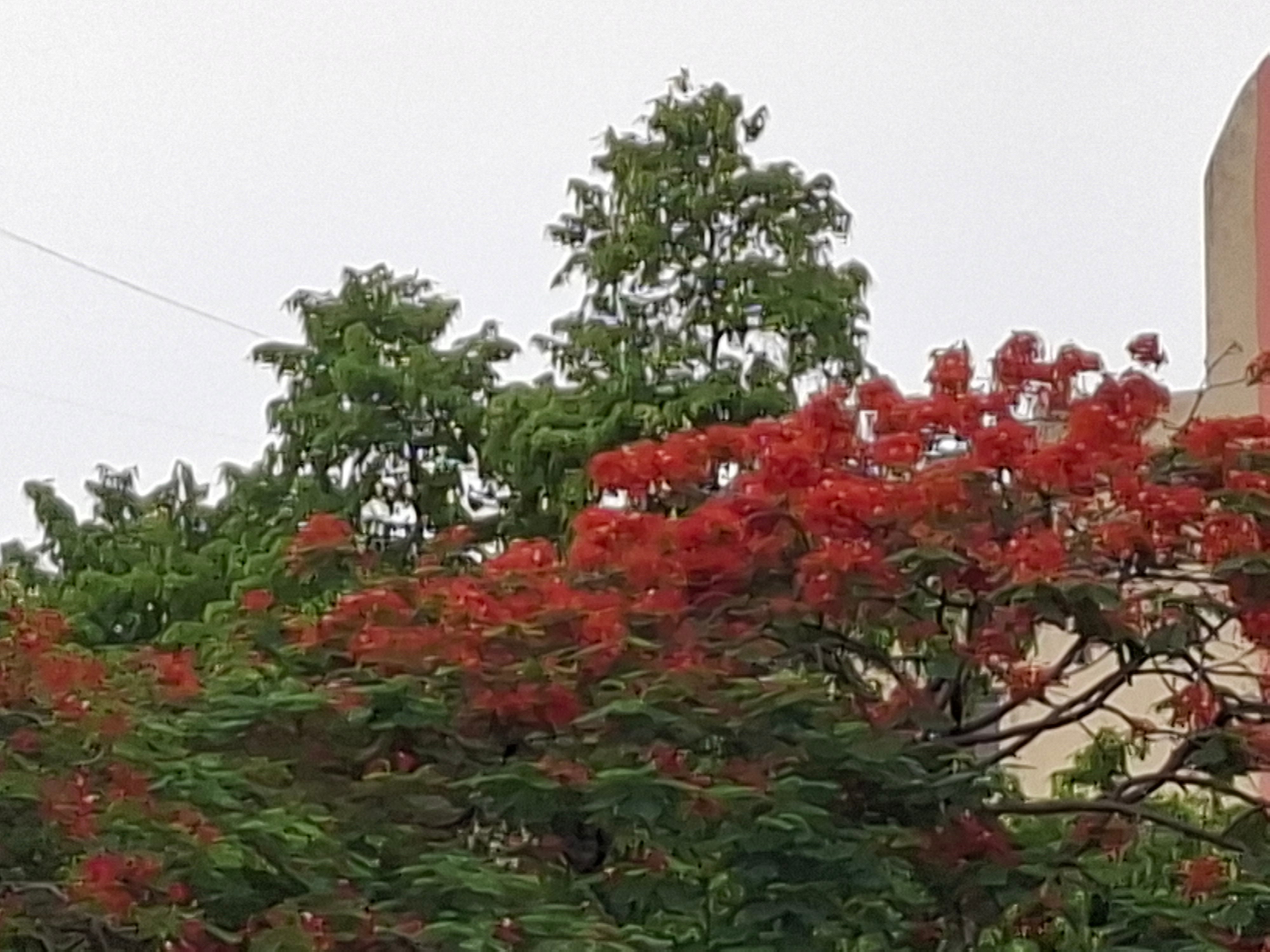 20260417 162444 Samsung Galaxy A57 and Galaxy A37