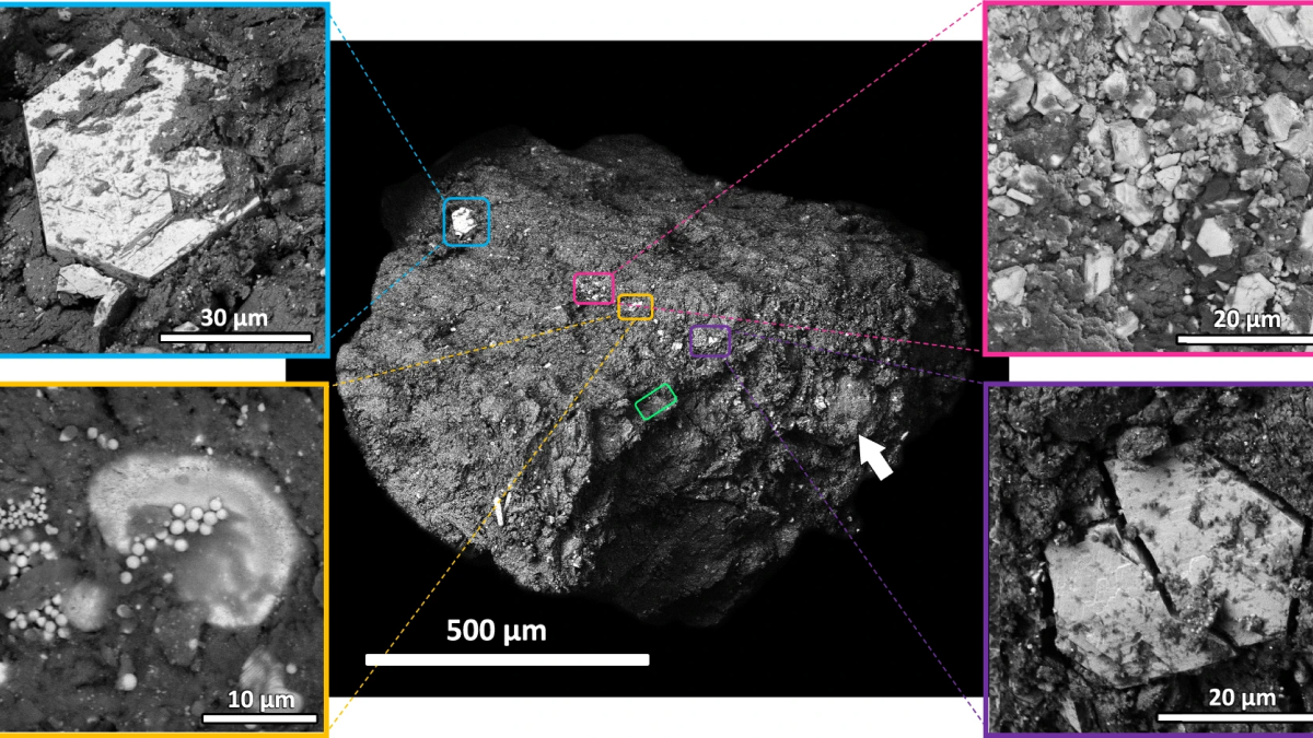 Phosphorus Grains in Ryugu Samples Offer Insights into Earth&rsquo;s Early Life Chemistry