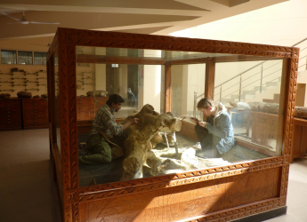 Rare Fossils From Extinct Elephants Document Earliest Instance of Butchery in India&rsquo;s Kashmir Valley