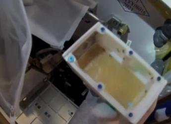 Fruit Fly Experiment on Tiangong Space Station Explores Effects of Microgravity