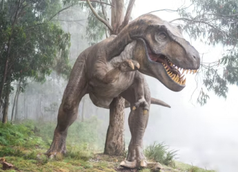 Cretaceous Dinosaur That Could Run Faster with Wings Discovered