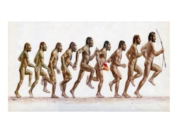 Australopithecus Afarensis' Limited Running Speed Unveiled in 3D Simulation Study Australopithecus Afarensis' Limited Running Speed Unveiled in 3D Simulation Study