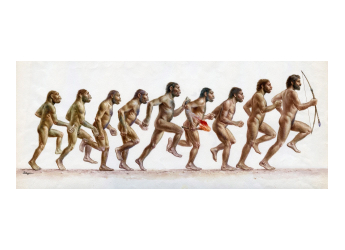 Australopithecus Afarensis&#039; Limited Running Speed Unveiled in 3D Simulation Study