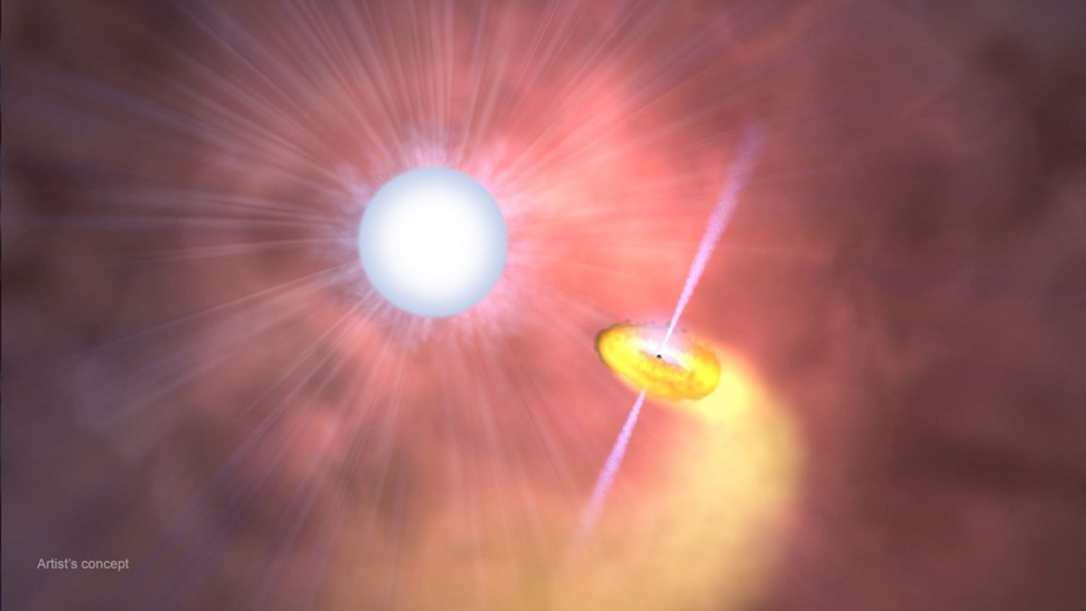 NASA and JAXA&rsquo;s XRISM Mission Captures Detailed Data from X-Ray Emitting Wolf-Rayet Star