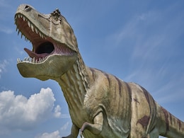 Fossilised Dinosaur Droppings Could Reveal Secrets Behind Their Evolution into a Dominant Species, Says Study Fossilised Dinosaur Droppings Could Reveal Secrets Behind Their Evolution into a Dominant Species, Says Study
