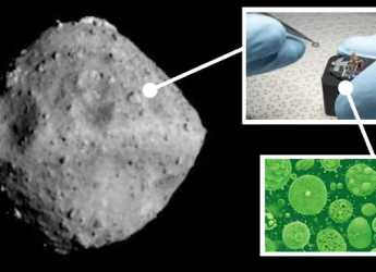Earth Microbes Discovered in Asteroid Ryugu Sample, Raises Contamination Concerns