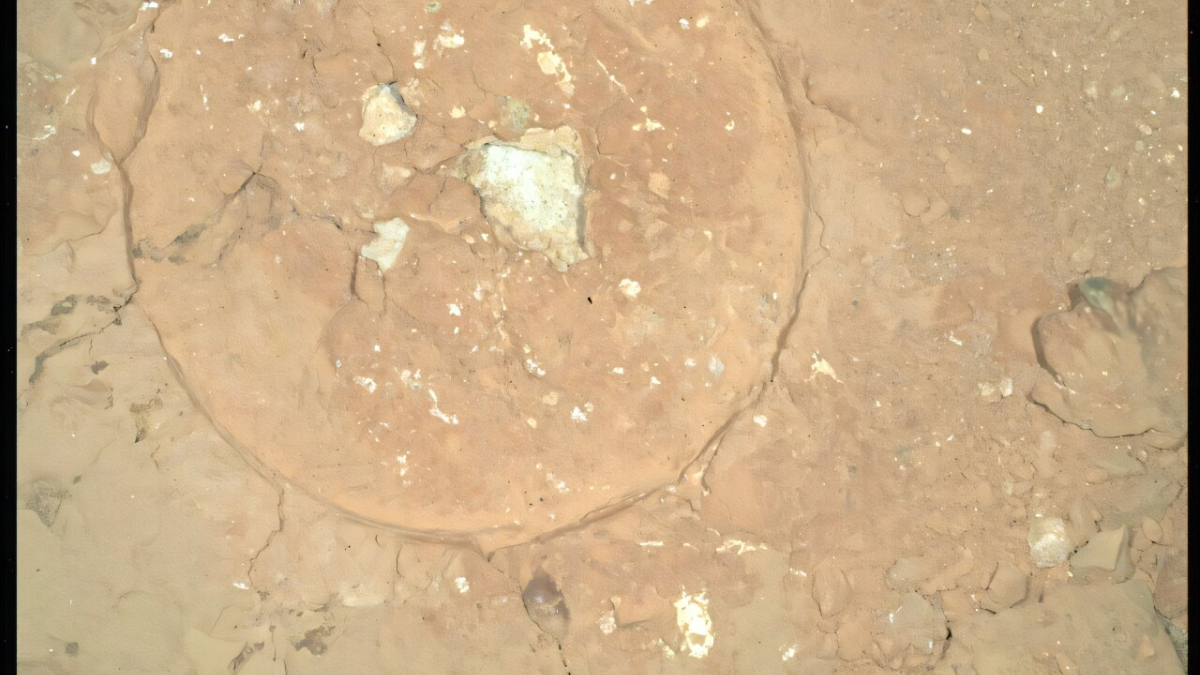 NASA's Mars Perseverance Rover Uncovers Distinct Red Rocks with Green Spots at 'Serpentine Rapids'