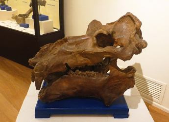 Viduthalai Part 2 OTT Release Date: Vijay Sethupathi Starrer Might Stream Soon on ZEE5