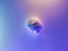 Could We Ever Retrieve Memories from a Dead Person's Brain? Neuroscientists Weigh In Could We Ever Retrieve Memories from a Dead Person's Brain? Neuroscientists Weigh In
