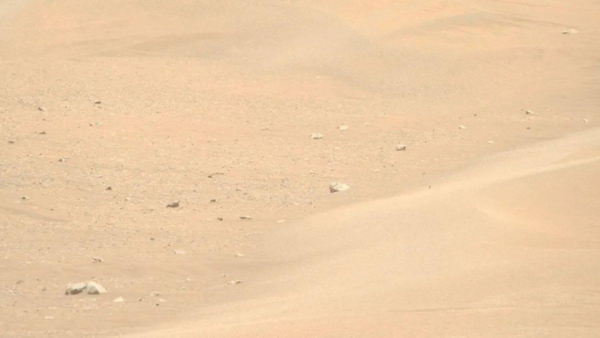 NASA’s Perseverance Rover Spots Megaripples, Proof Mars' Soil Is Still Shifting