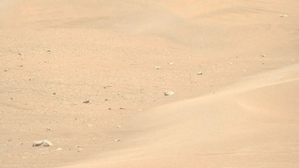NASA’s Perseverance Rover Spots Megaripples, Proof Mars' Soil Is Still Shifting