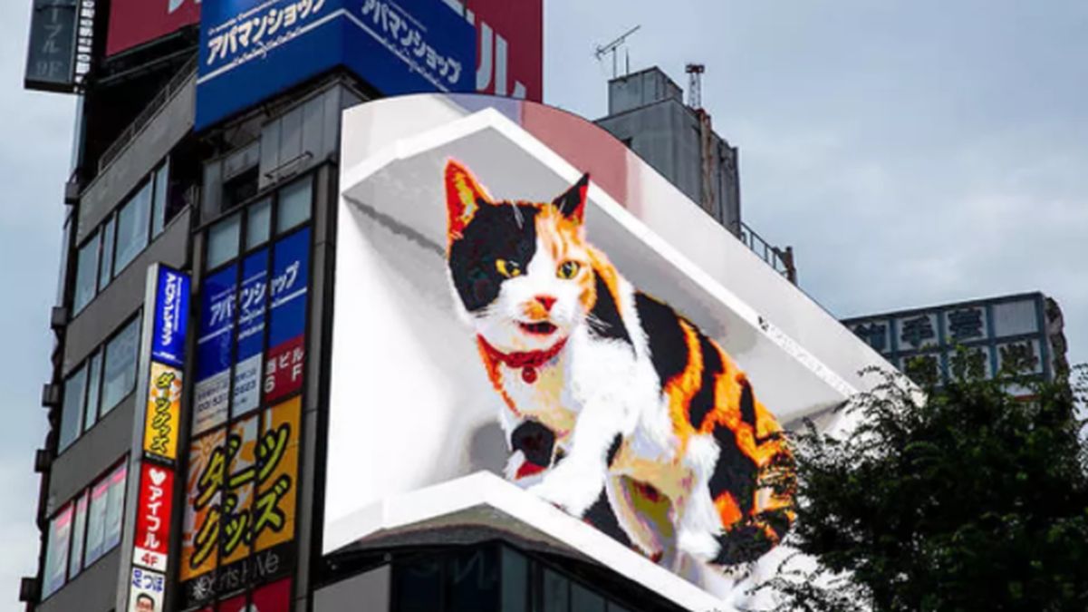 Giant 3D Cat Comes to Life in Huge Billboard in Tokyo, Japan