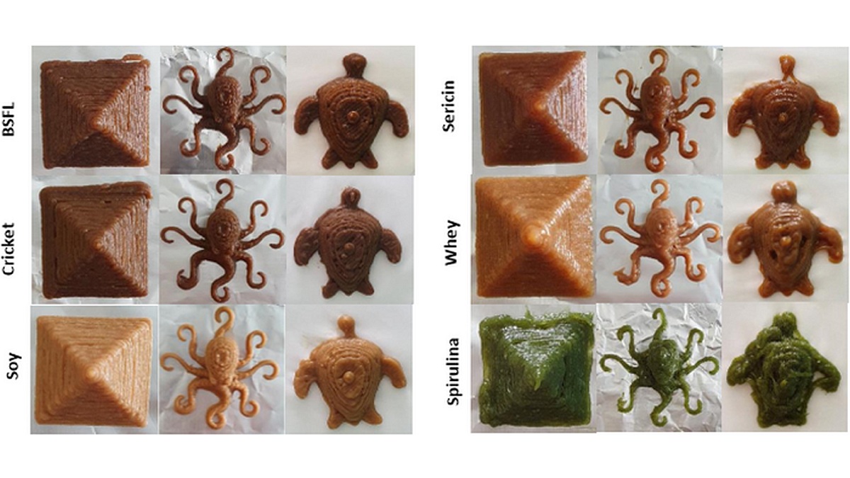 3D-Printed Food Developed by Researchers, Could Help People Eat Alternative Protein Sources