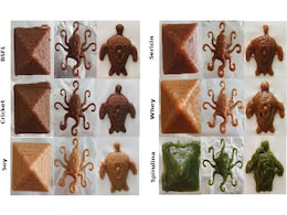 3D-Printed Food Developed by Researchers, Could Help People Eat Alternative Protein Sources 3D-Printed Food Developed by Researchers, Could Help People Eat Alternative Protein Sources