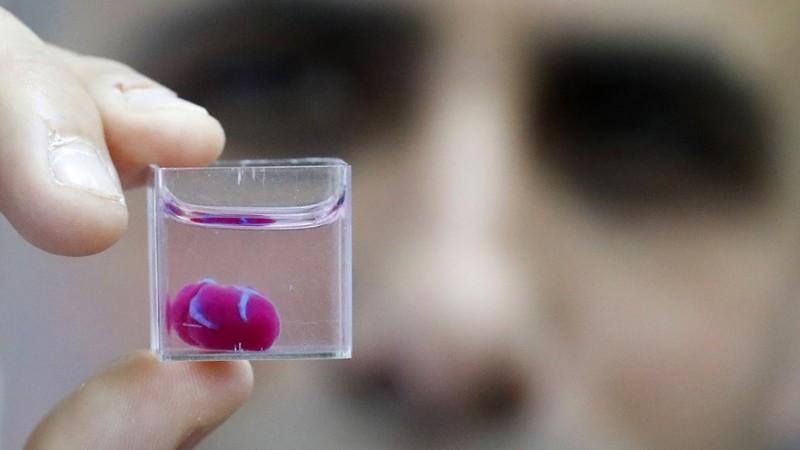 Scientists Unveil 'First' 3D Printed Heart With Human Tissue, Vessels