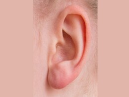 Ear Muscles Flex to Help Focus on Sounds, Study Reveals Evolutionary Link Ear Muscles Flex to Help Focus on Sounds, Study Reveals Evolutionary Link