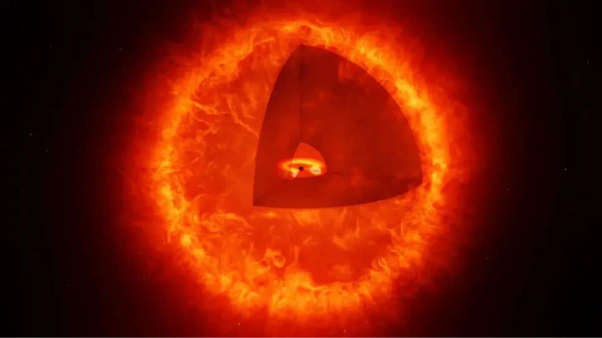 NASA’s James Webb Telescope May Have Found First Black Hole Star, Known as ‘The Cliff’
