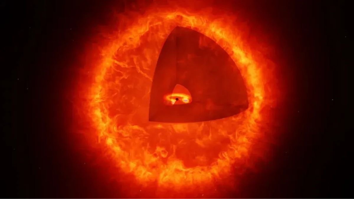 NASA’s James Webb Telescope May Have Found First Black Hole Star, Known as ‘The Cliff’