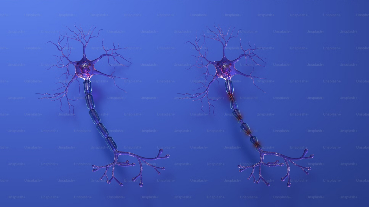 Researchers Develop Cell-Level Wearable Devices to Restore Neuron Function