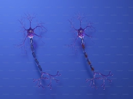 Researchers Develop Cell-Level Wearable Devices to Restore Neuron Function Researchers Develop Cell-Level Wearable Devices to Restore Neuron Function
