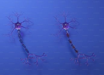 Researchers Develop Cell-Level Wearable Devices to Restore Neuron Function