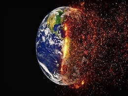 One-Third of Earth's Species Could Face Extinction by 2100 Due to Climate Change One-Third of Earth's Species Could Face Extinction by 2100 Due to Climate Change