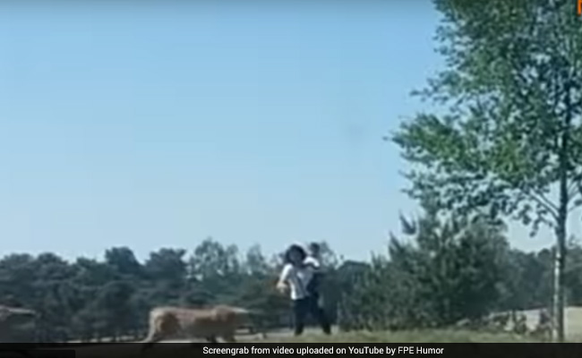 Viral Video: मस्ती कर रहे थे पति-पत्नी, अचानक आ गए 2 चीते