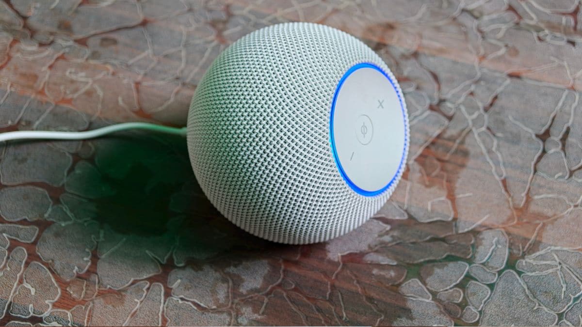 6 Amazon Echo Dot Max