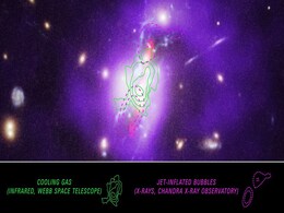 Webb Telescope Unveils Hidden Process Behind Star Formation in Phoenix Cluster Webb Telescope Unveils Hidden Process Behind Star Formation in Phoenix Cluster