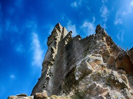 Dorset's Fossil Forest: A Jurassic Landscape Preserved by Microbial Fossilisation Dorset's Fossil Forest: A Jurassic Landscape Preserved by Microbial Fossilisation