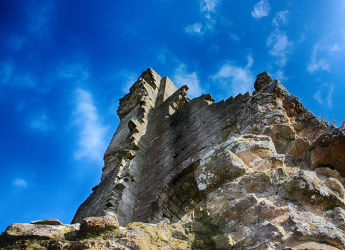 Dorset&#039;s Fossil Forest: A Jurassic Landscape Preserved by Microbial Fossilisation