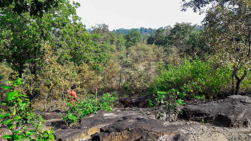 Using Bioacoustics to Unlock the Ecological Information in Soundscapes