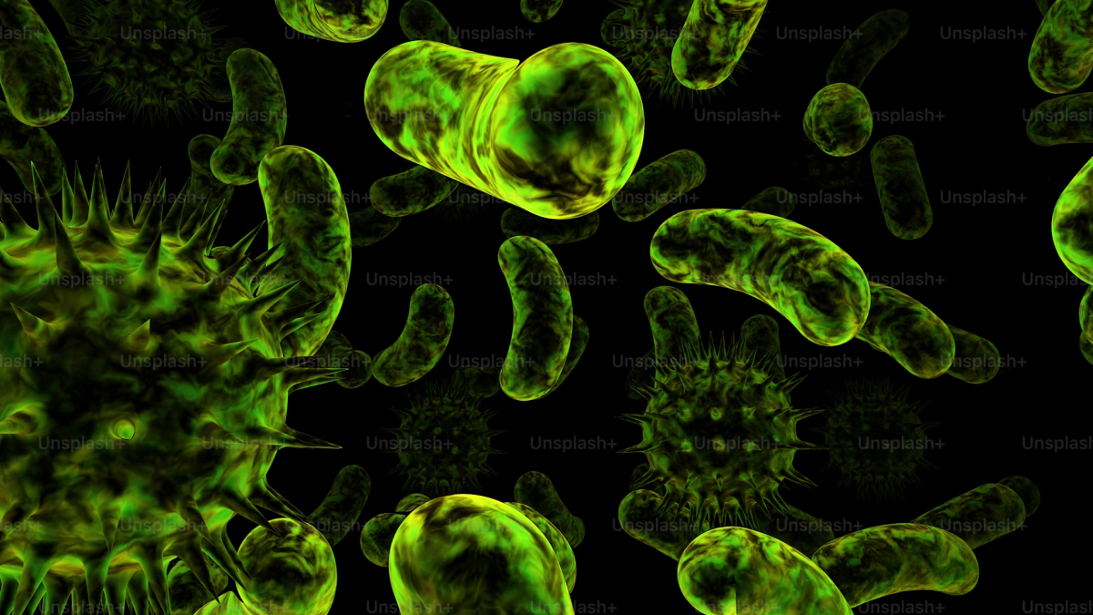 &lsquo;Chonkus&rsquo; Algae Found Off Italian Coast Holds Promise for Improve Climate Change Situation