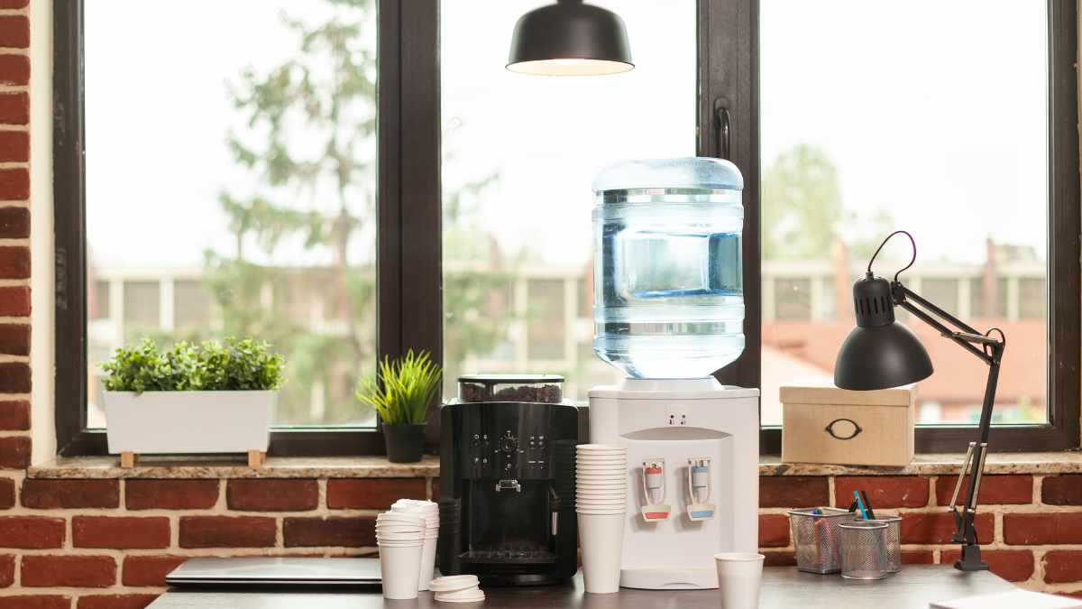 Top-Rated Livpure Water Purifiers: Eco-Friendly And Efficient Models