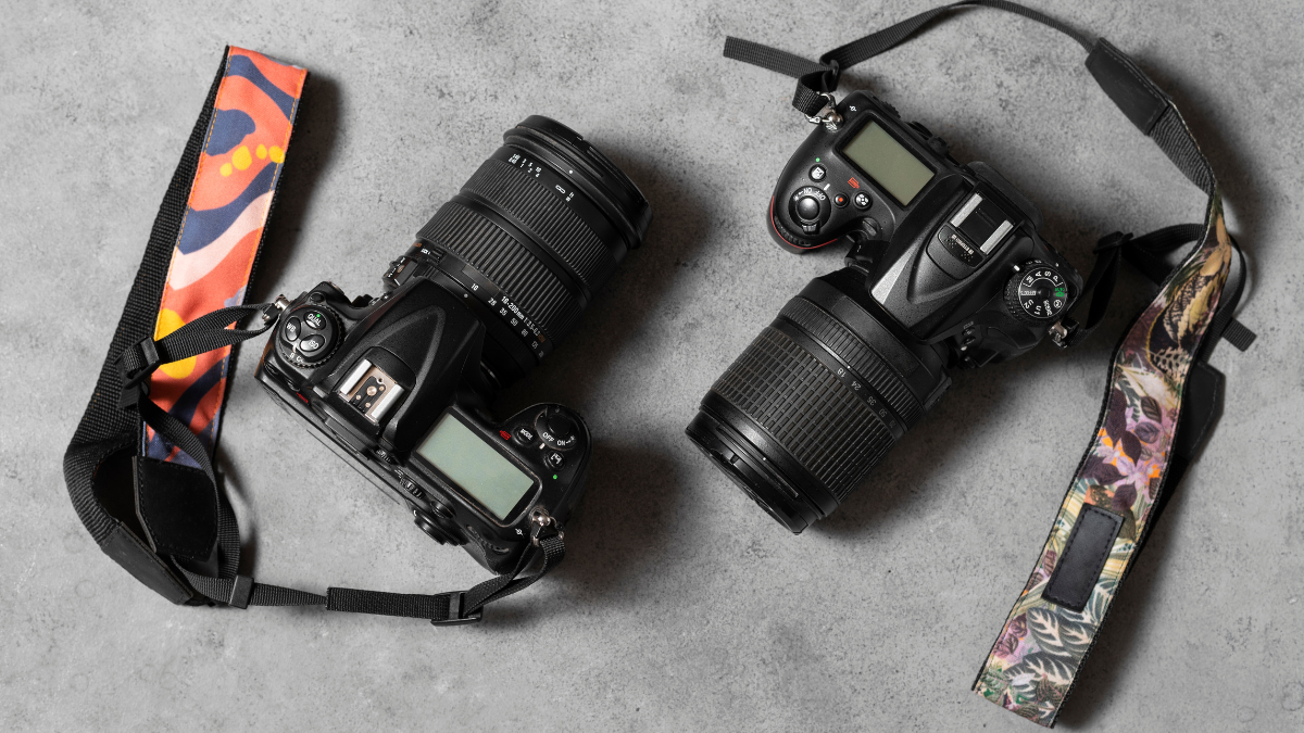 Panasonic Vs Nikon Digital Cameras: Preserve Your Cherished Moments In Stunning Detail