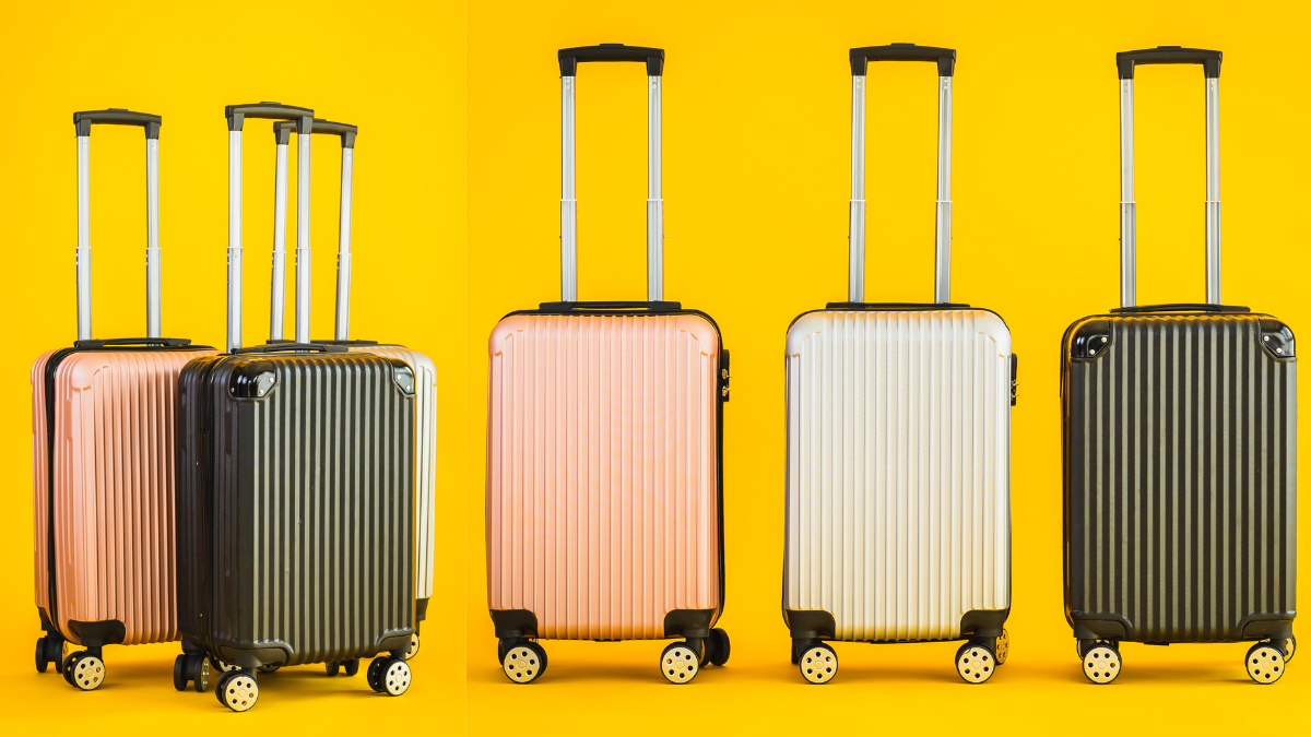 Best Luggage Bag Brands In India: Choose From Safari, Aristocrat, and more