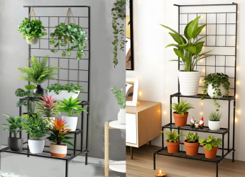 Best Balcony Tiered Racks to Grow a Small Vegetable Garden: Add a Touch Of Greenery To Your Home