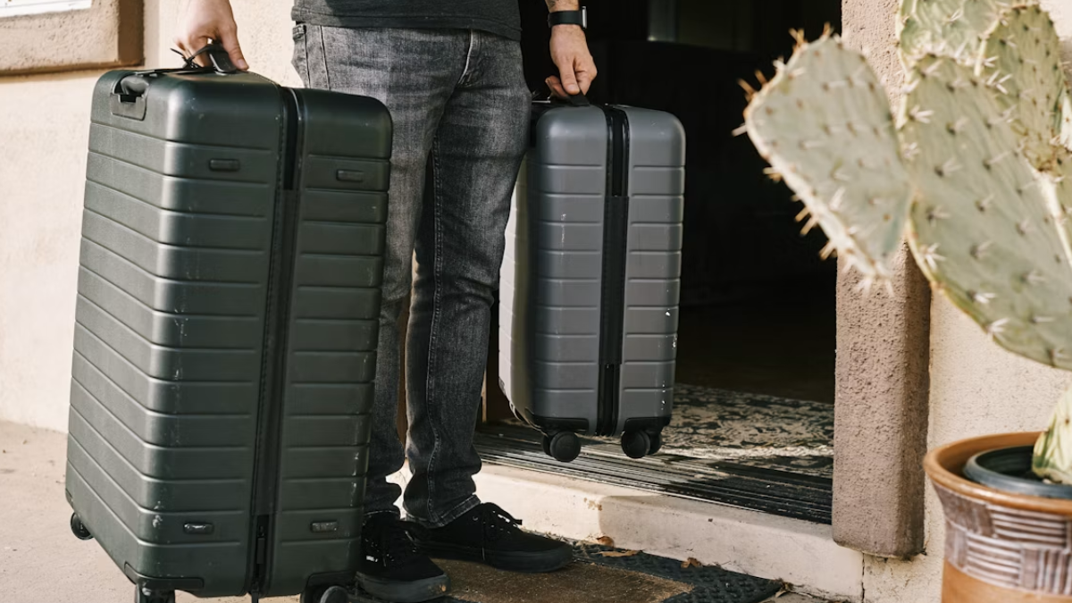 Best Nasher Miles Trolley Bags: Smart Compartments  and Lightweight Frames