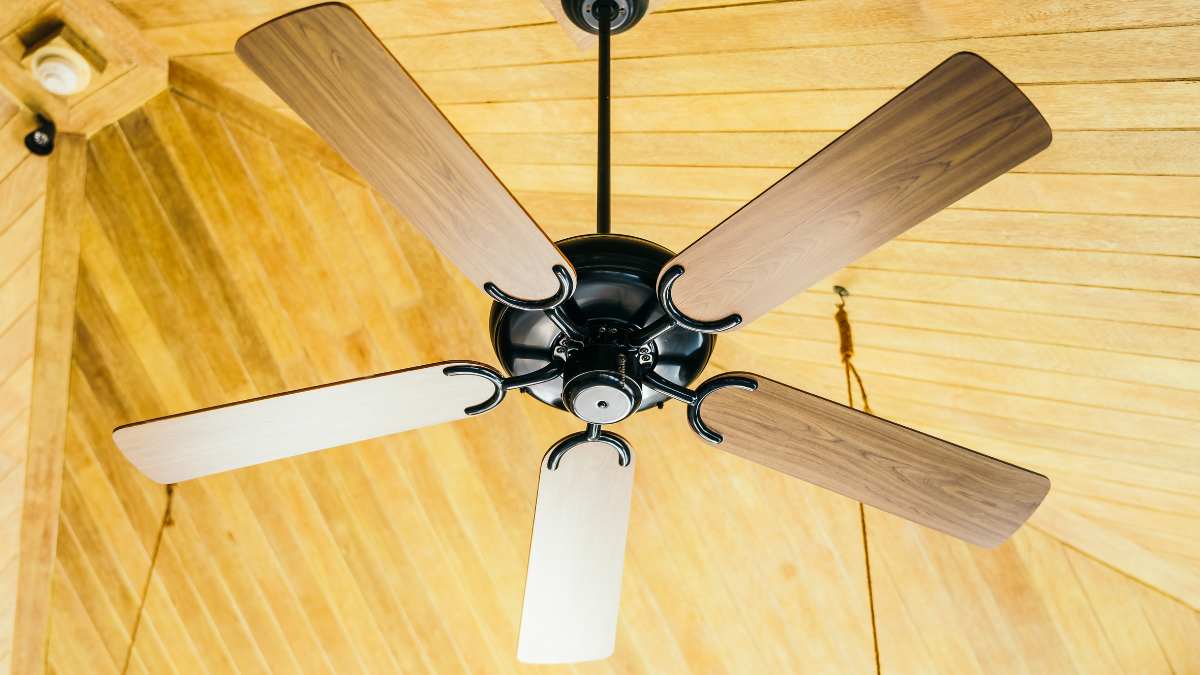 Designer Ceiling Fans For Living Room: Where Decor Meets Innovation